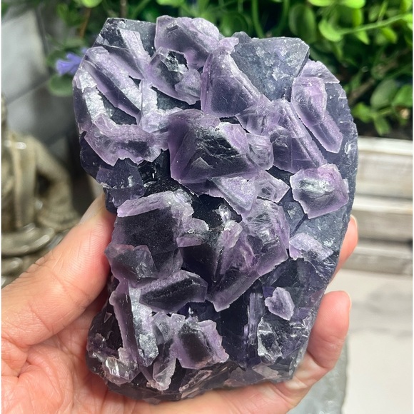 Fluorite Slab - Picture 5 of 10